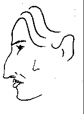cef-1.gif (1395 bytes)