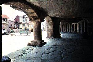pmillo3.jpg (16050 bytes)
